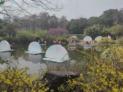 -凤城河风景区