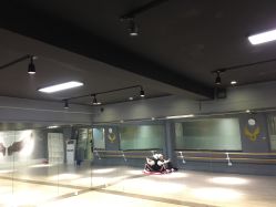 -欲非舞蹈