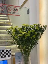 -MIDA蜜哒•科技逆龄美肤连锁