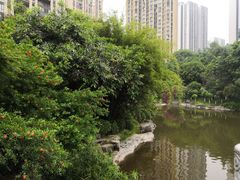 -龙头寺公园