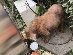 -畜牧兽医站(共江路店)