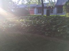 菖蒲河公园-菖蒲河公园