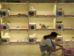 -lincat·猫舍(广州店)