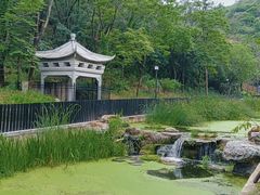 -白水寺森林公园