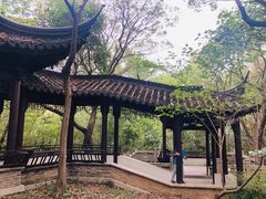 -上海佘山国家森林公园天马山园