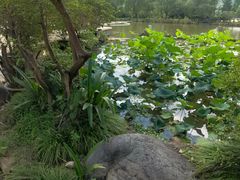 -杭州六谷生态休闲农庄有限公司