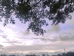 -万绿园