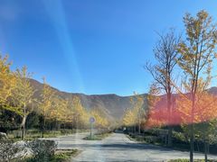 -阳台山自然风景区