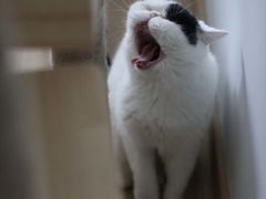 -重庆风光老灶火锅城(同德广场店)