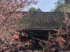 -青羊宫
