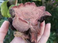 -北镇龙岗子生态园