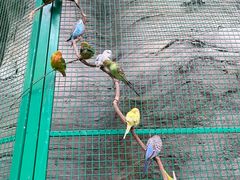 -杭州开元森泊度假乐园