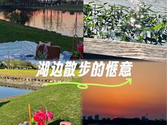 -桐乡凤凰湖