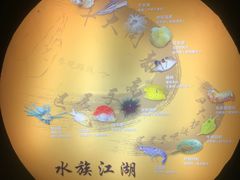 -上海海洋水族馆