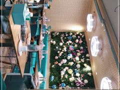 -青瓷火锅料理(西单大悦城店)
