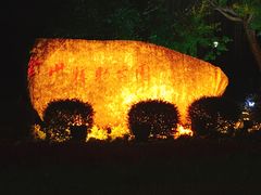 -金山植物公园