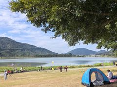 -风云岭森林公园