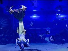 -顺德南宏海立方海洋公园