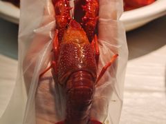 -肥肥虾庄·金牌油焖大虾(东湖欢乐谷店)