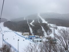-亚布力新体委滑雪场