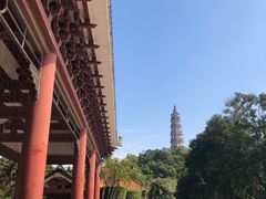 -顺峰山公园