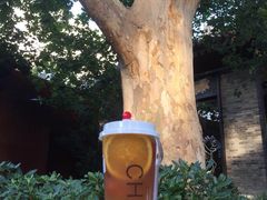 -茶肆(袁家村店)