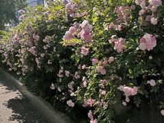 -南京航空航天大学(明故宫校区)