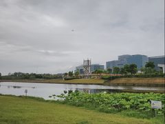 -春花秋色城市公园