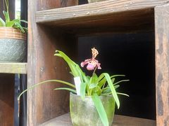 -国家植物园南园