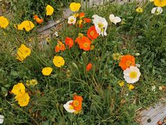 -名花谷生态庄园