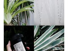-无牌咖啡&酒馆