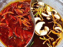 经典鸳鸯锅-青瓷火锅料理(西单大悦城店)