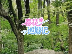 -杭州半山国家森林公园