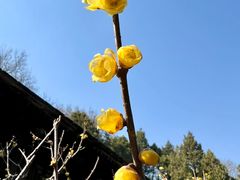 -颐和园