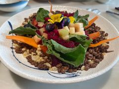 -唐猫庭院·千年陕菜(大唐不夜城店)