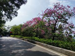 -广州市白云山风景名胜区