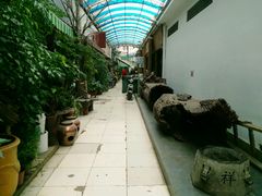 -武汉花鸟市场