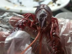 -霸王虾·麻辣小龙虾(清水河公园店)