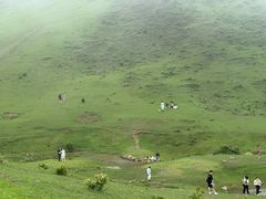-大姆山草场