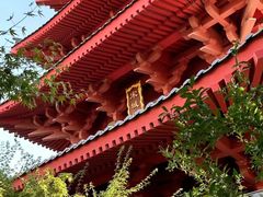 -秦始皇帝陵博物院(兵马俑)