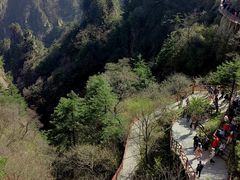 -老君山风景名胜区