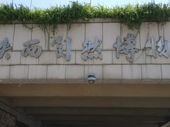 -陕西自然博物馆