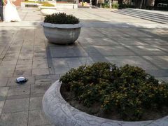 -王府井天主教堂