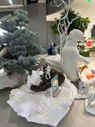 -IMON·HANSA潮玩玩偶毛绒玩具(通州万象汇店)