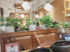 -云海肴·汽锅鸡·云南菜(苏州中心店)