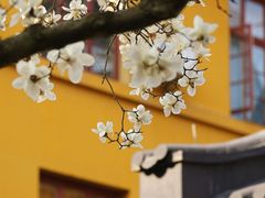 -杭州上天竺法喜讲寺