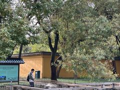 -西园寺