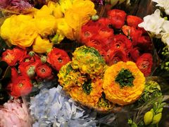 -双季花艺园艺市场(浦东店)