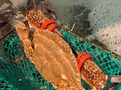 -好爸爸(外滩店)