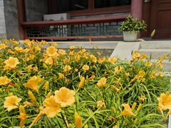 -莲池书院博物馆